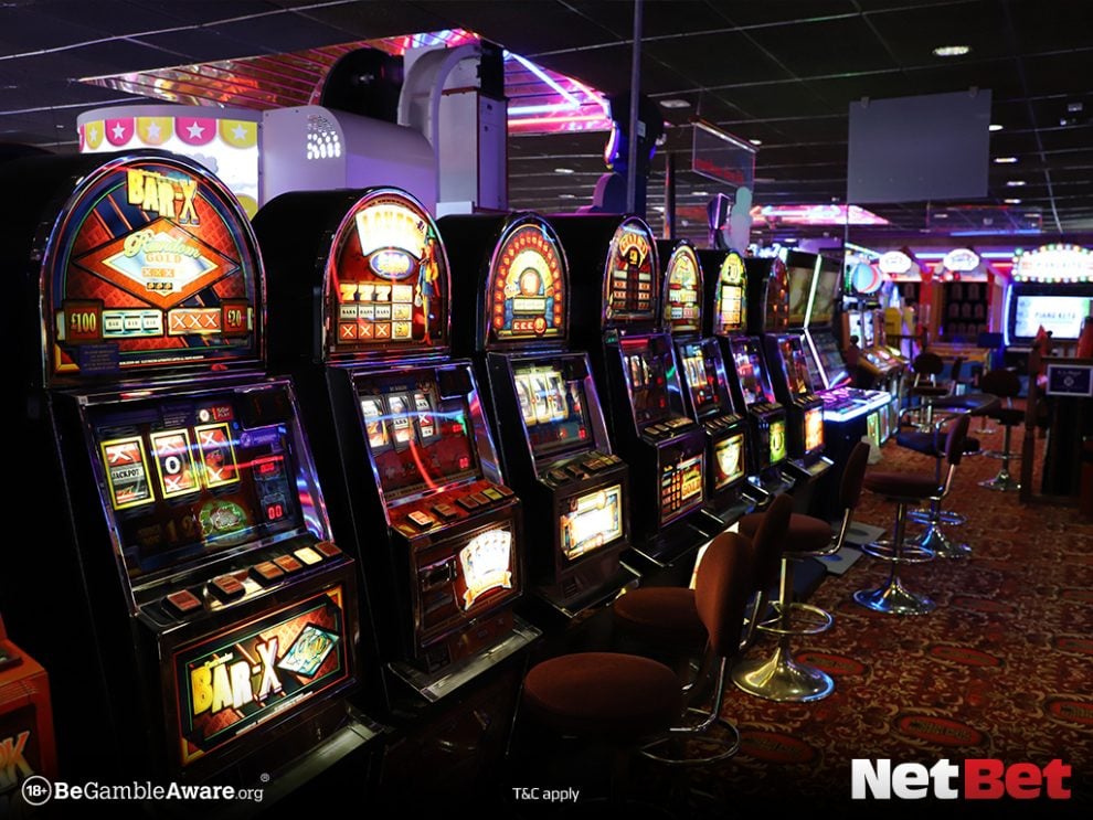 7yzz - Plataforma para Bet Online